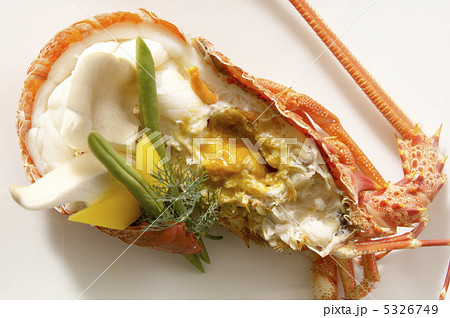 伊勢エビ 5326749