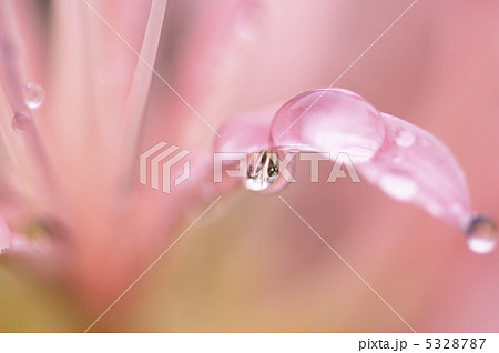 水滴 水滴 5328787