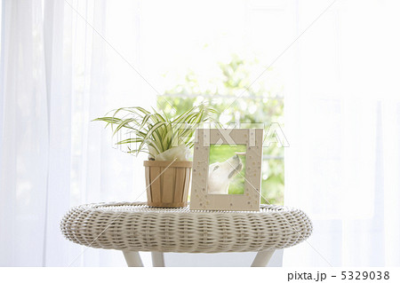 フォトフレームと観葉植物 5329038