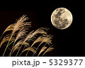 ススキと中秋の名月 5329377