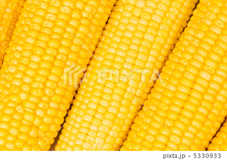 Extreme close up of yellow corn cobs Extreme close up of yellow corn cobs 5330933