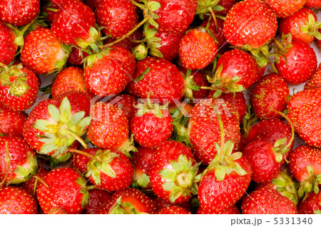 Lots of strawberries arranged as the background Lots of strawberries arranged as the background 5331340