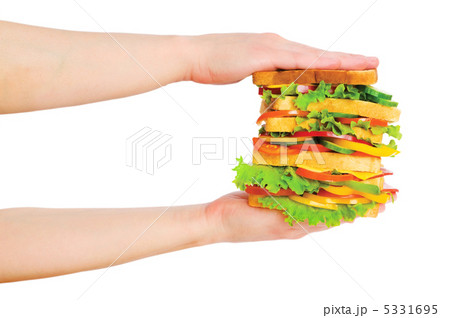 Two hands holding sandwich isolated on white 5331695