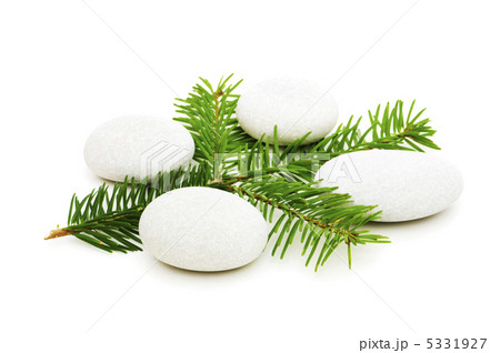 Spa concept with green twig and pebbels Spa concept with green twig and pebbels 5331927