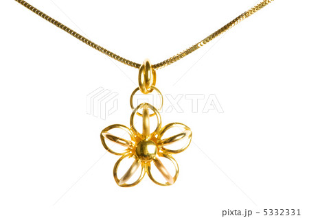 Pendant on golden chain isolated on the white 5332331