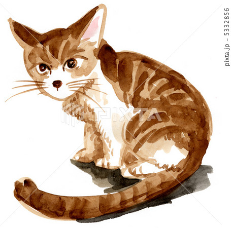 a cat12810pix 5332856