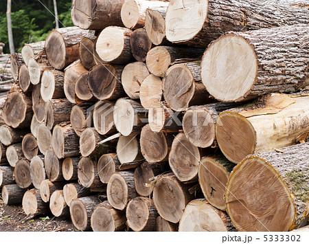 材木 材木 5333302