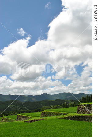 坂元棚田 5333651