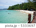 マレーシア　ボルネオ島　 5333697