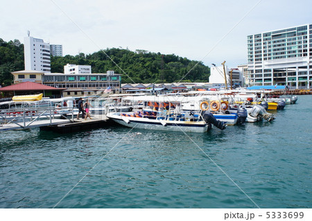 マレーシア　ボルネオ島　 5333699