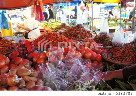 マレーシア　ボルネオ島　サピ島 5333705