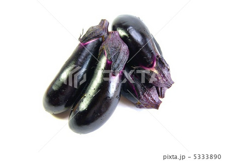 夏野菜・茄子整然と5個盛り前2個揃え・横位置 5333890