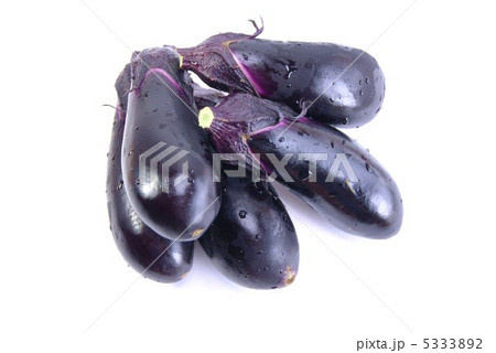夏野菜・茄子整然と5個盛り・横位置 5333892