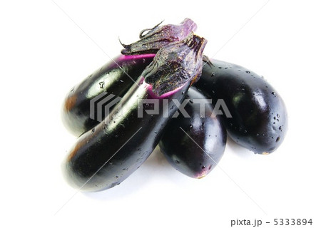 夏野菜・茄子整然と4個盛り・横位置 5333894