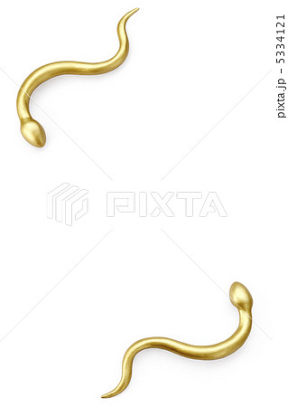 金の蛇の写真素材
