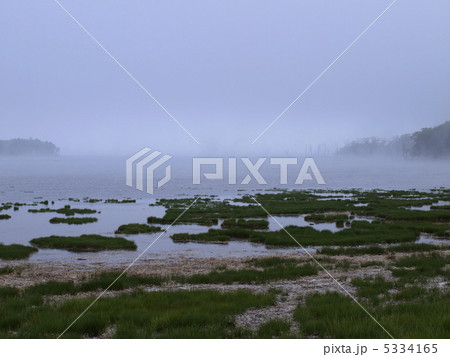 霧の野付半島・・・夏 5334165