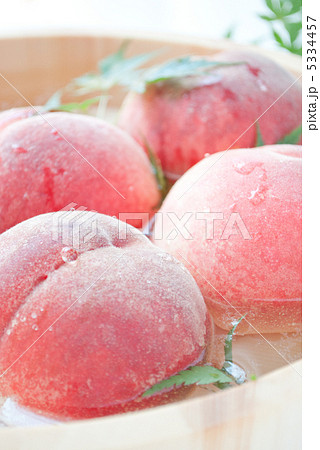 あかつき あかつき 5334457