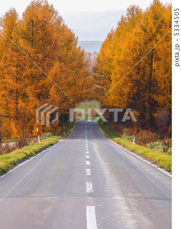 秋のトンネル 5334505