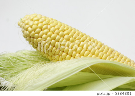 とうもろこし(ゴールドラッシュ) とうもろこし(ゴールドラッシュ) 5334801
