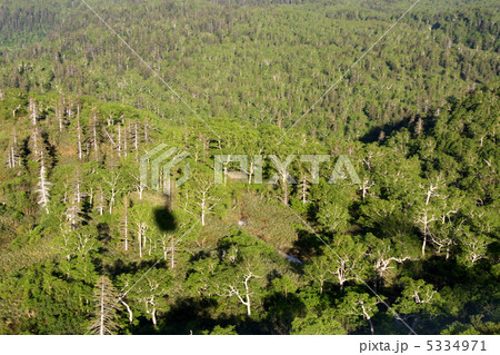 旭岳ロープウェイから 5334971