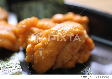 生ウニ 生ウニ 5334998