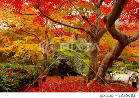 宝厳院の紅葉 5335082