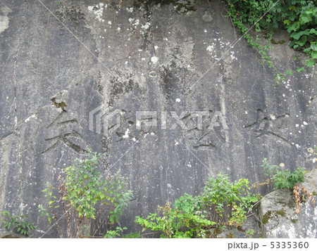 親不知 5335360