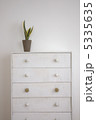 白いタンスと観葉植物 5335635