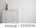 白いタンスと観葉植物 5335636