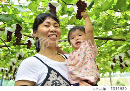 ぶどう狩り 5335920