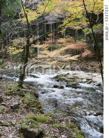 赤目四十八滝 5337237