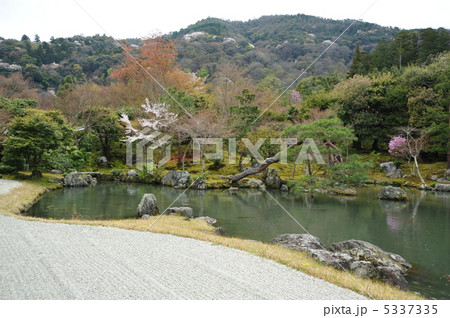 京都 天龍寺の春 京都 天龍寺の春 5337335