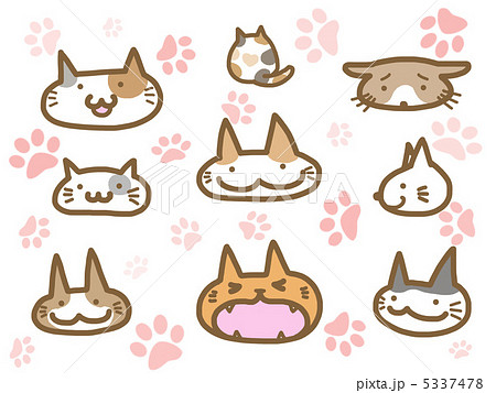 猫いろいろ 5337478