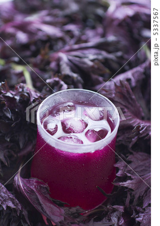 赤しそジュース 赤しそジュース 5337567