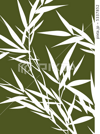 グラフィックパターン グラフィックパターン 5337852