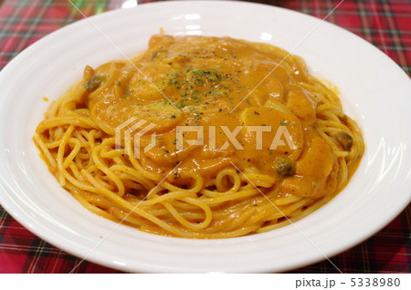 インディアンスパゲッティ インディアンスパゲッティ 5338980