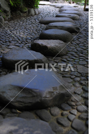 飛び石 5339136