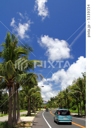 沖縄県恩納村のヤシ並木 5339354