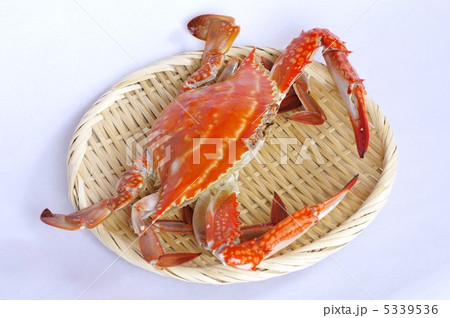 茹でワタリガニ 茹でワタリガニ 5339536