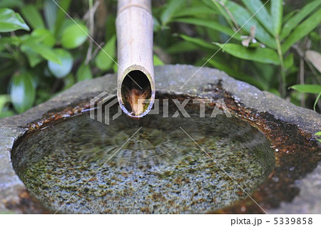 こけら落とし(雫、落下後) こけら落とし(雫、落下後) 5339858