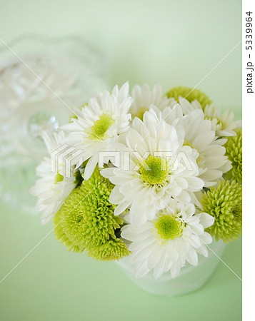 グリーンとホワイトの涼しげなアレンジメント 5339964