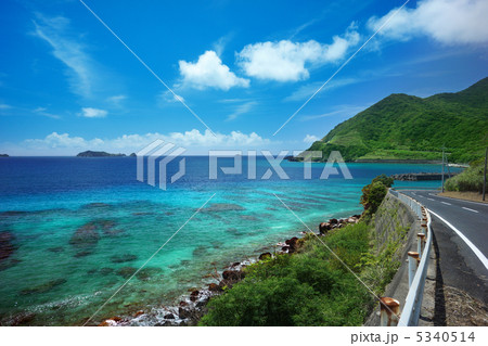 美しく壮大なリーフ 5340514