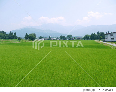 魚沼の田園風景 5340584