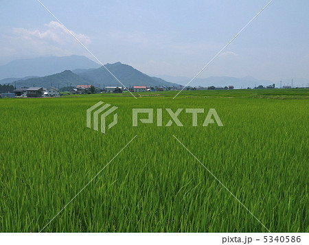 魚沼の田園風景 5340586