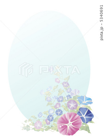 朝顔 縦 朝顔 縦 5340691