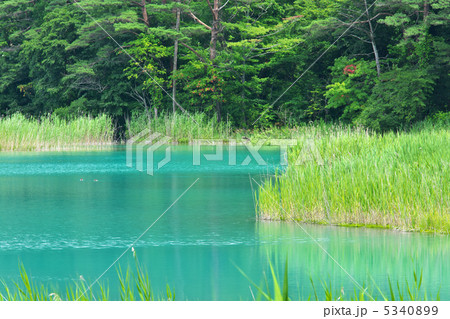 福島　北塩原村　五色沼　弁天沼 5340899