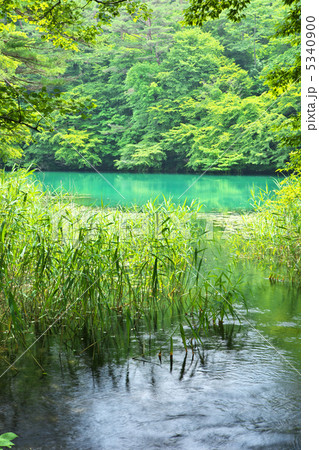 福島　北塩原村　五色沼　毘沙門沼 5340900