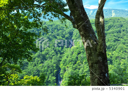 宮城 蔵王町 三階滝 宮城 蔵王町 三階滝 5340901