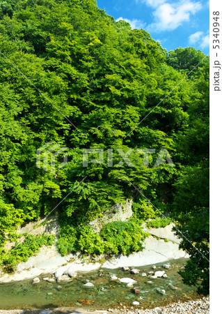 青森 鯵ヶ沢町 赤石川渓流 青森 鯵ヶ沢町 赤石川渓流 5340948