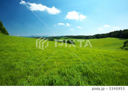岩手 九戸村 放牧地 岩手 九戸村 放牧地 5340953